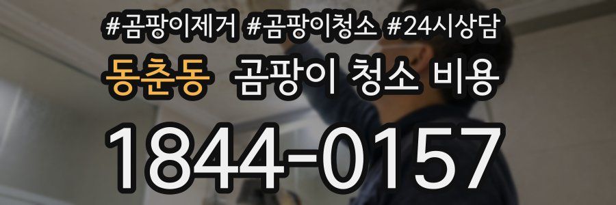 동춘동 곰팡이 청소 비용