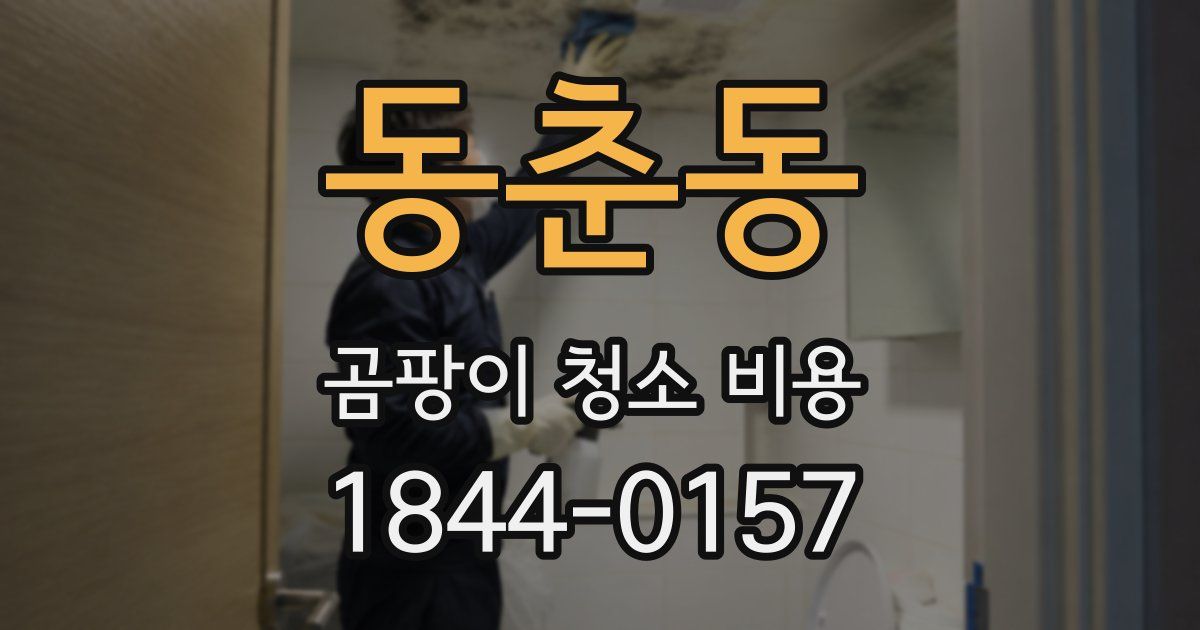 동춘동 곰팡이 청소 비용