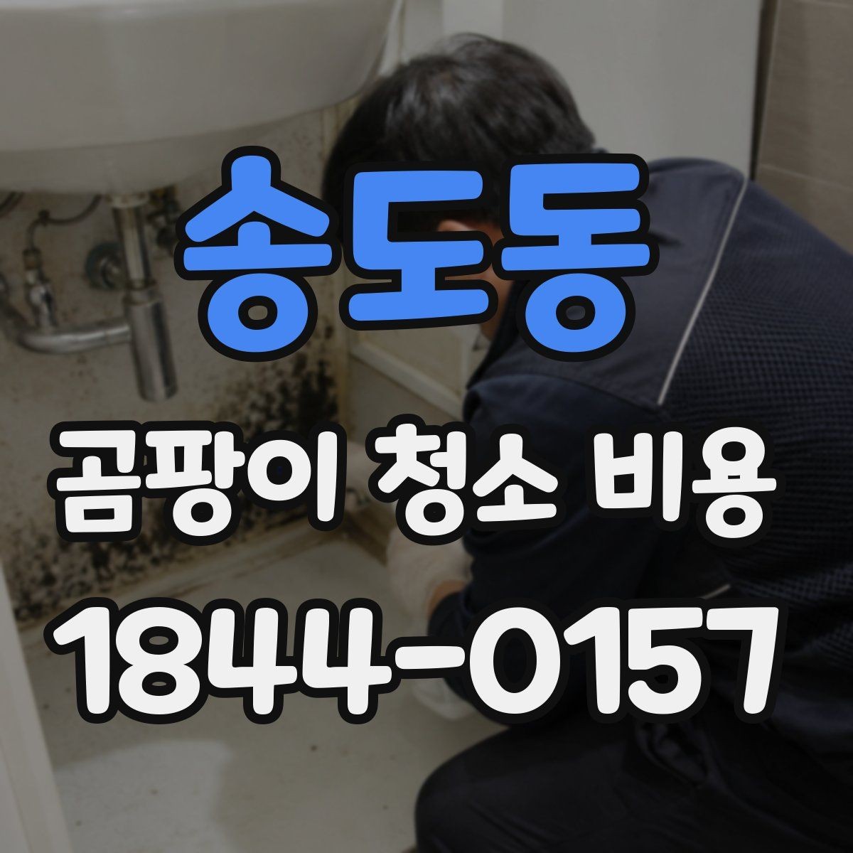 송도동 곰팡이 청소 비용 침실 벽면 오염이 심해질 때의 점검 순서