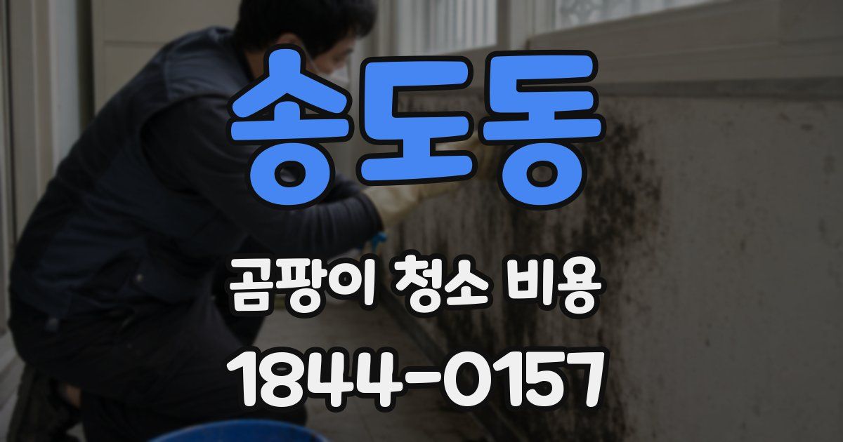 송도동 곰팡이 청소 비용