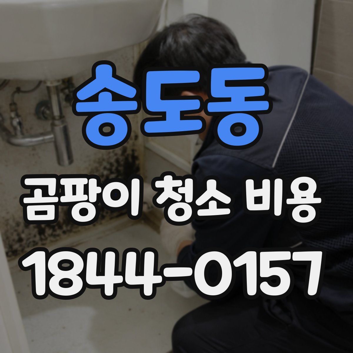 송도동 곰팡이 청소 비용
