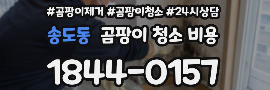 송도동 곰팡이 청소 비용