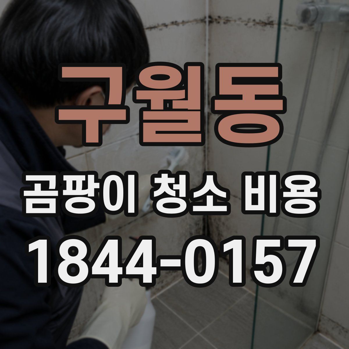 구월동 곰팡이 청소 비용