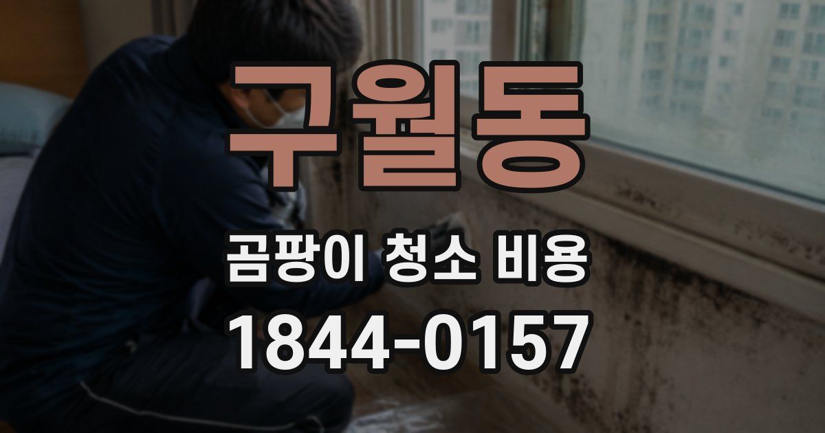 구월동 곰팡이 청소 비용