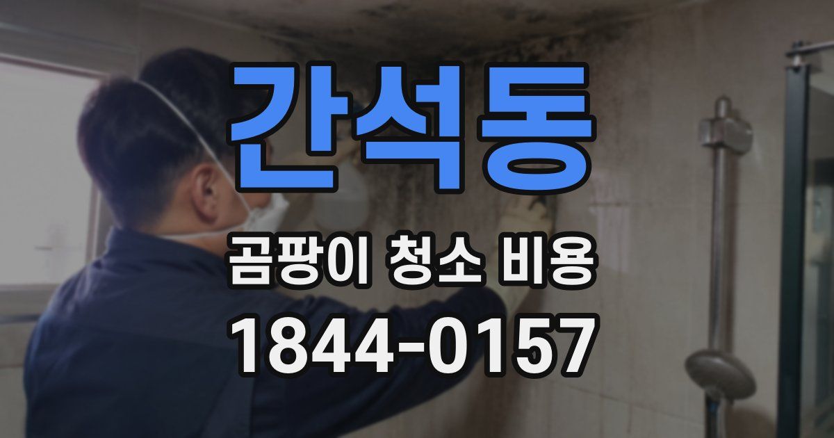 간석동 곰팡이 청소 비용