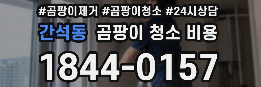 간석동 곰팡이 청소 비용