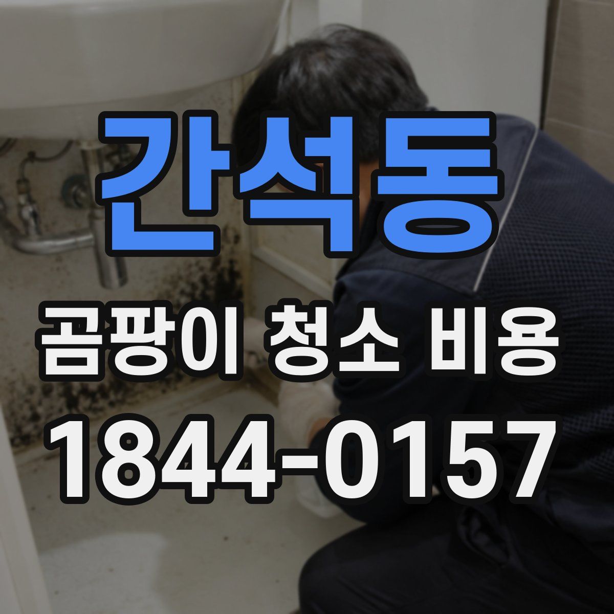 간석동 곰팡이 청소 비용