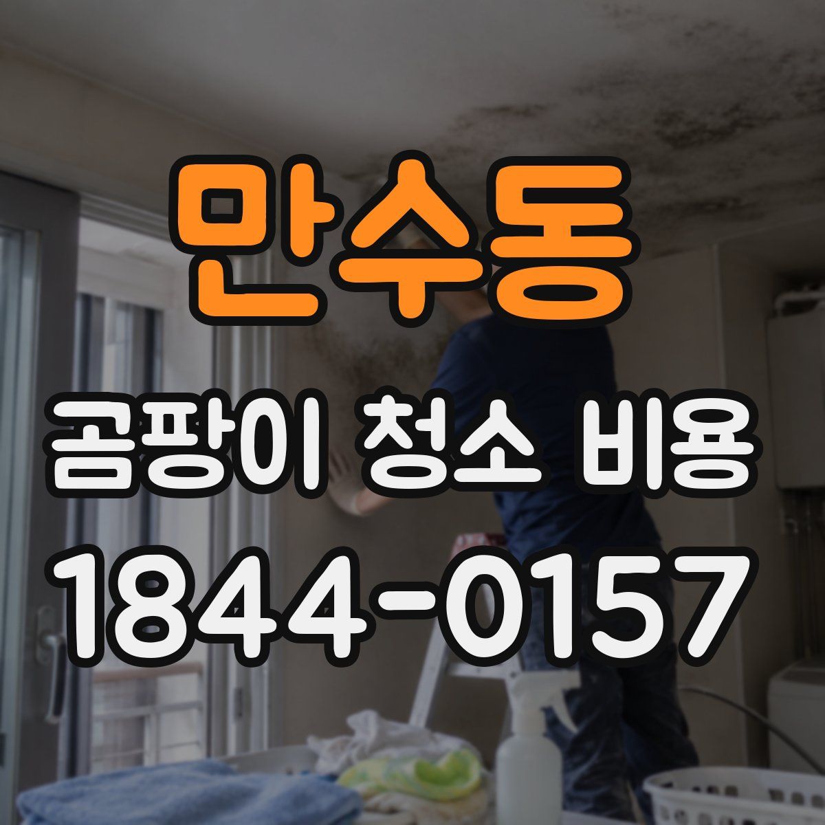 만수동 곰팡이 청소 비용