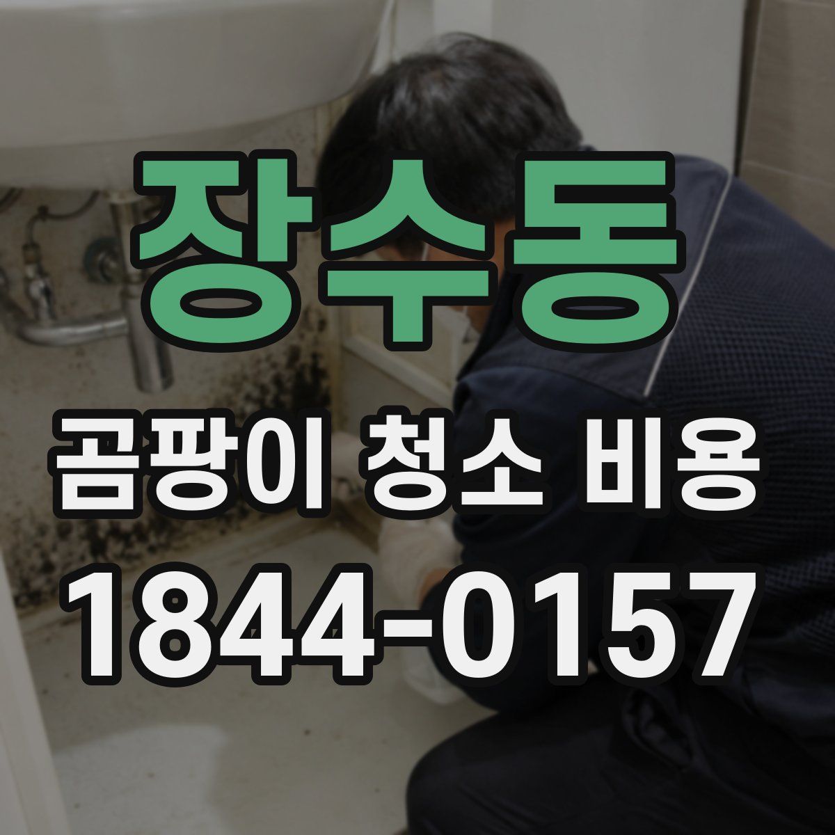 장수동 곰팡이 청소 비용