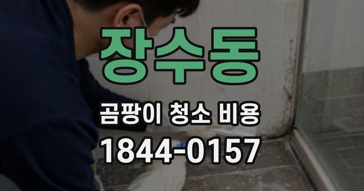 장수동 곰팡이 청소 비용