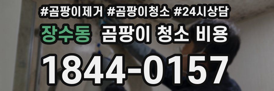 장수동 곰팡이 청소 비용