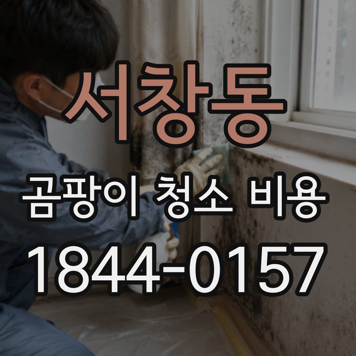 서창동 곰팡이 청소 비용