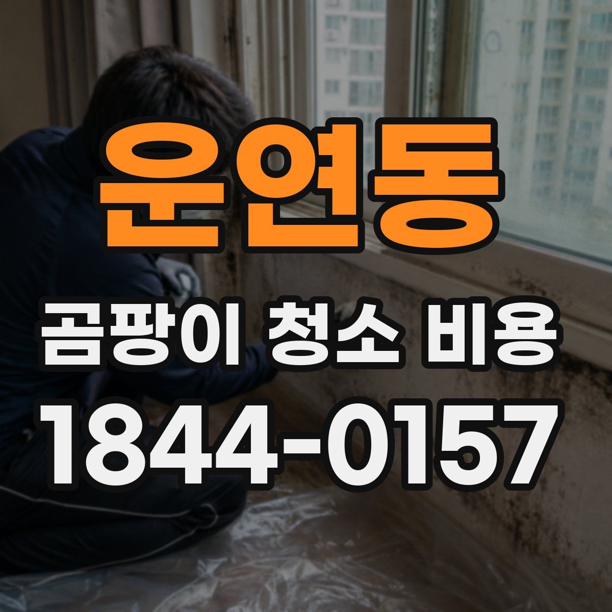 운연동 곰팡이 청소 비용