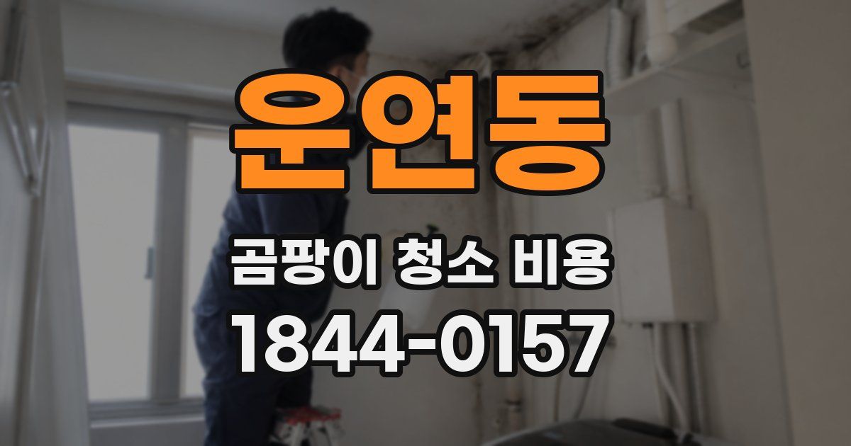 운연동 곰팡이 청소 비용