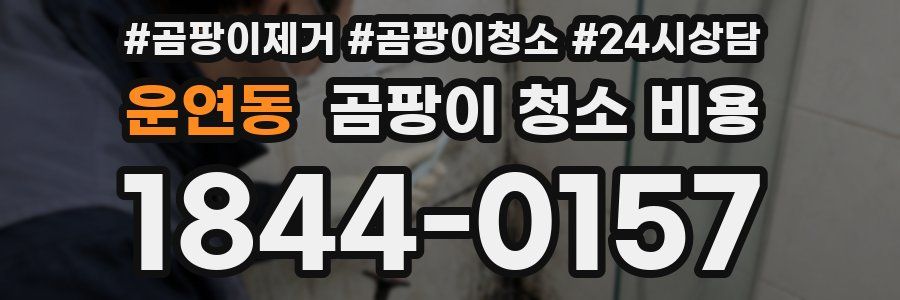 운연동 곰팡이 청소 비용
