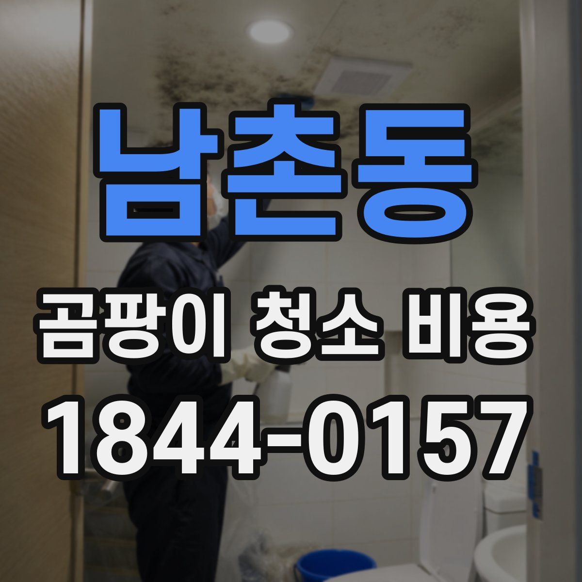 남촌동 곰팡이 청소 비용