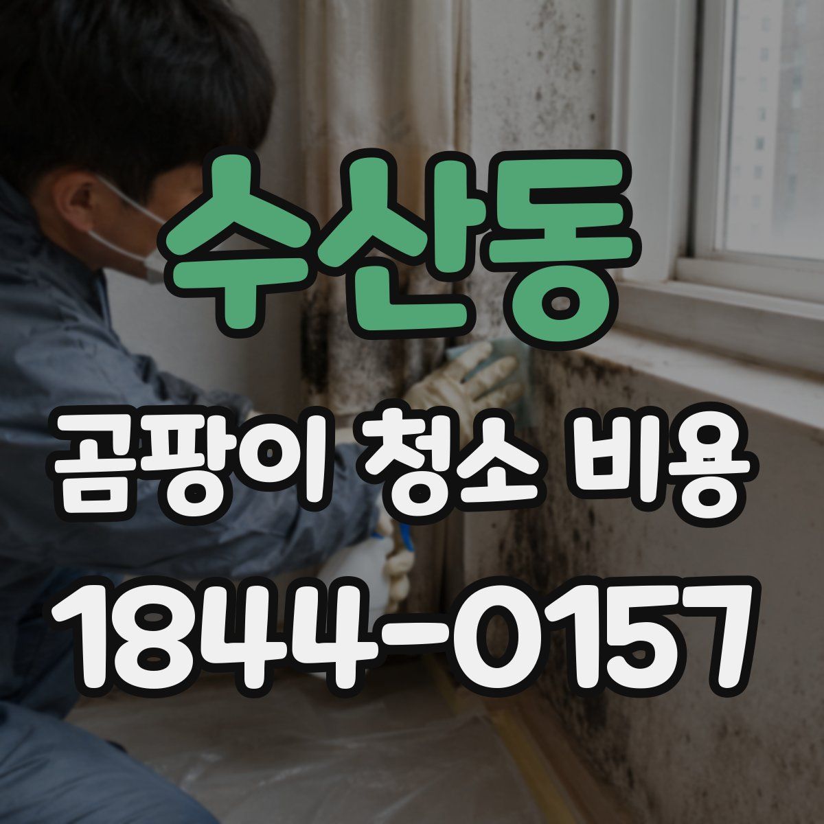 수산동 곰팡이 청소 비용