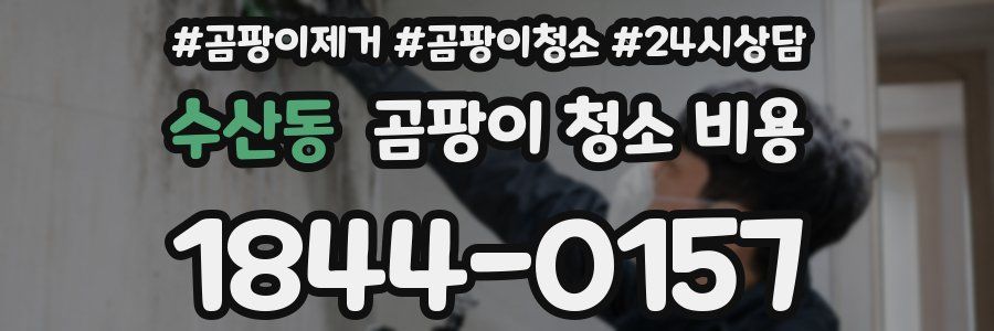 수산동 곰팡이 청소 비용