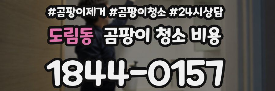 도림동 곰팡이 청소 비용