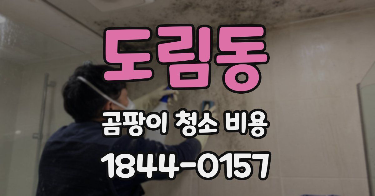 도림동 곰팡이 청소 비용