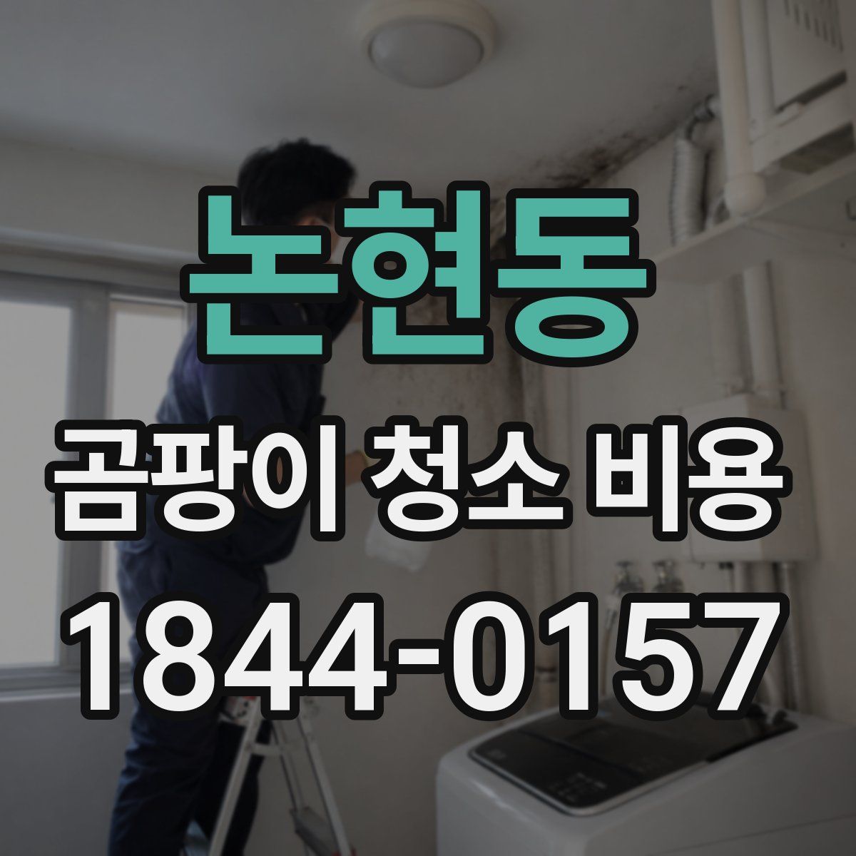 논현동 곰팡이 청소 비용