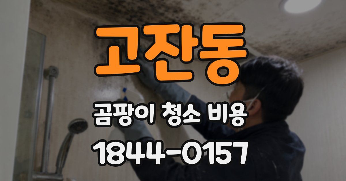 고잔동 곰팡이 청소 비용