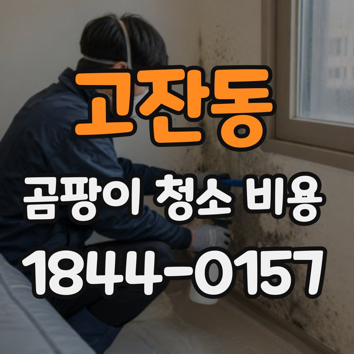 고잔동 곰팡이 청소 비용
