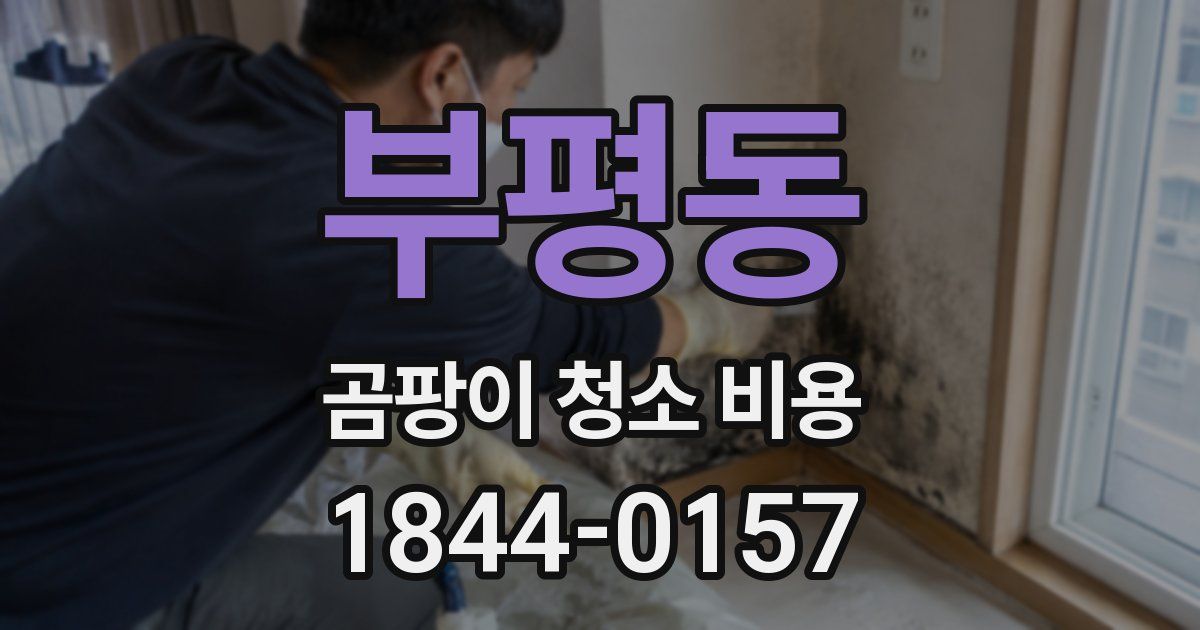 부평동 곰팡이 청소 비용