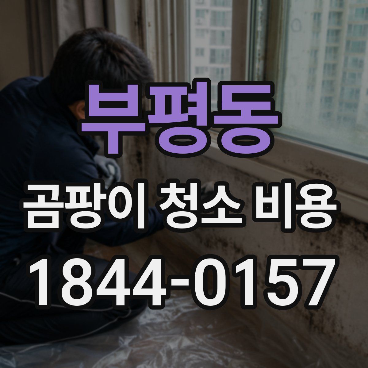 부평동 곰팡이 청소 비용