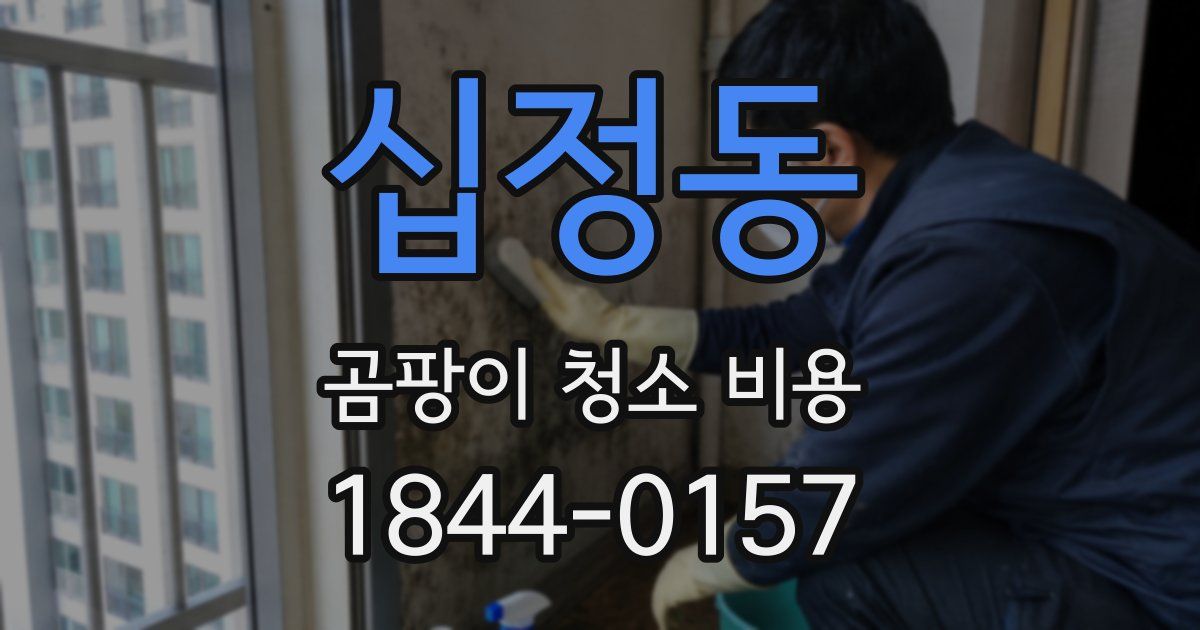 십정동 곰팡이 청소 비용