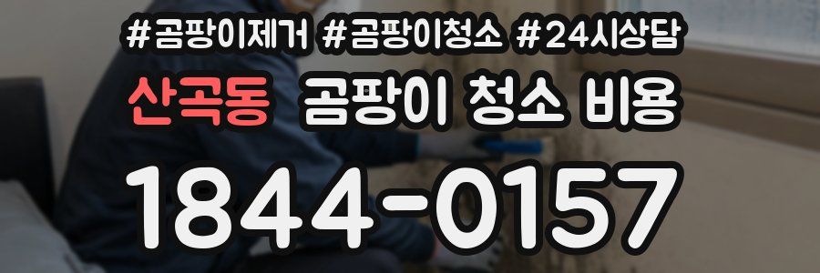 산곡동 곰팡이 청소 비용
