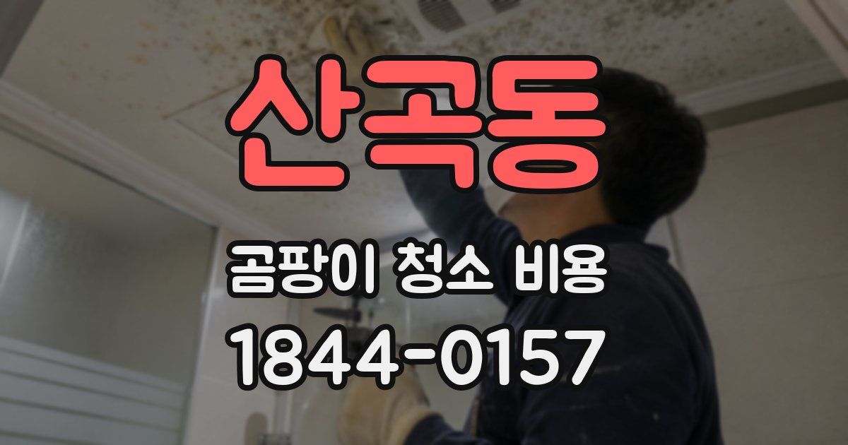 산곡동 곰팡이 청소 비용