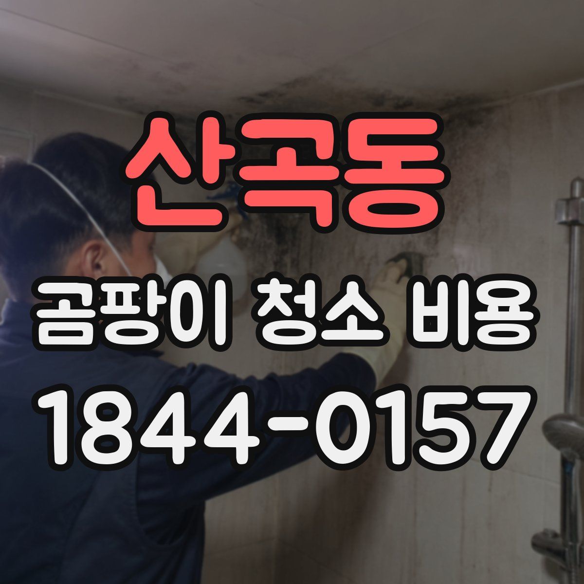 산곡동 곰팡이 청소 비용