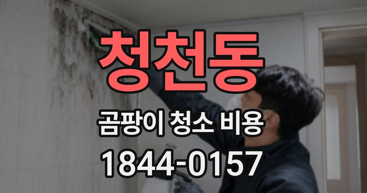 청천동 곰팡이 청소 비용