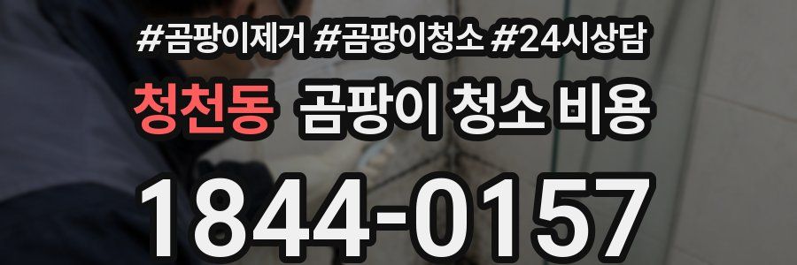 청천동 곰팡이 청소 비용