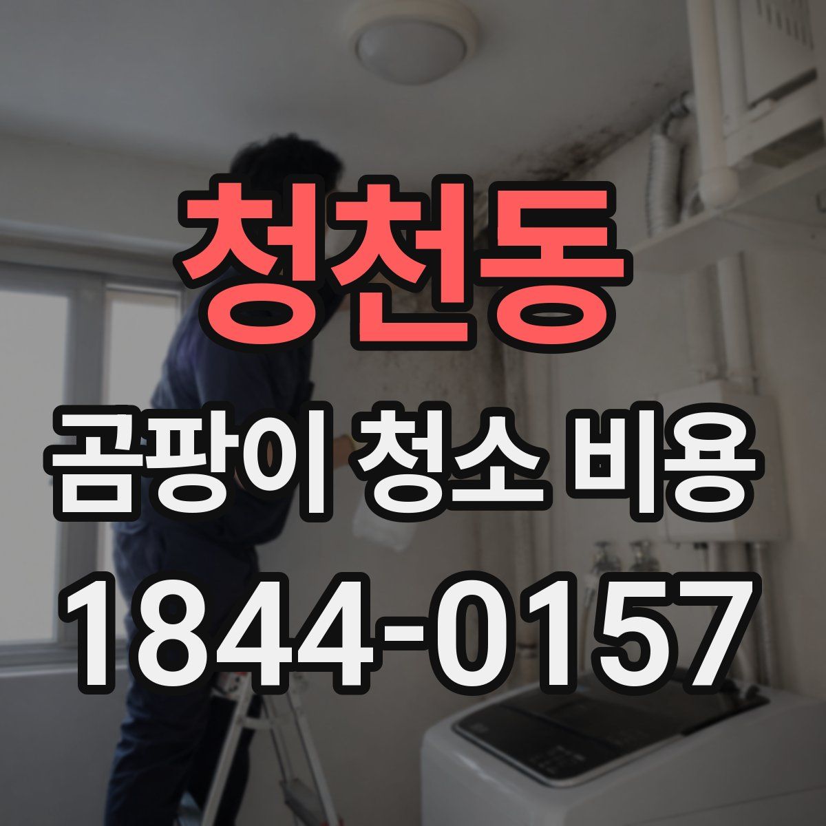 청천동 곰팡이 청소 비용