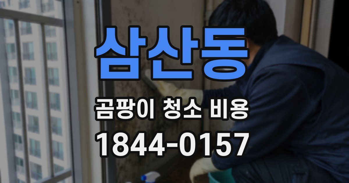 삼산동 곰팡이 청소 비용
