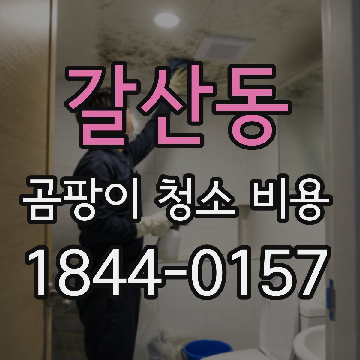 갈산동 곰팡이 청소 비용