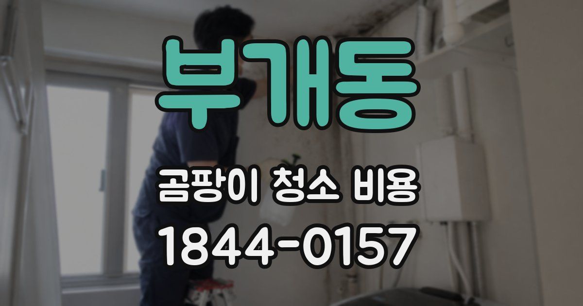 부개동 곰팡이 청소 비용