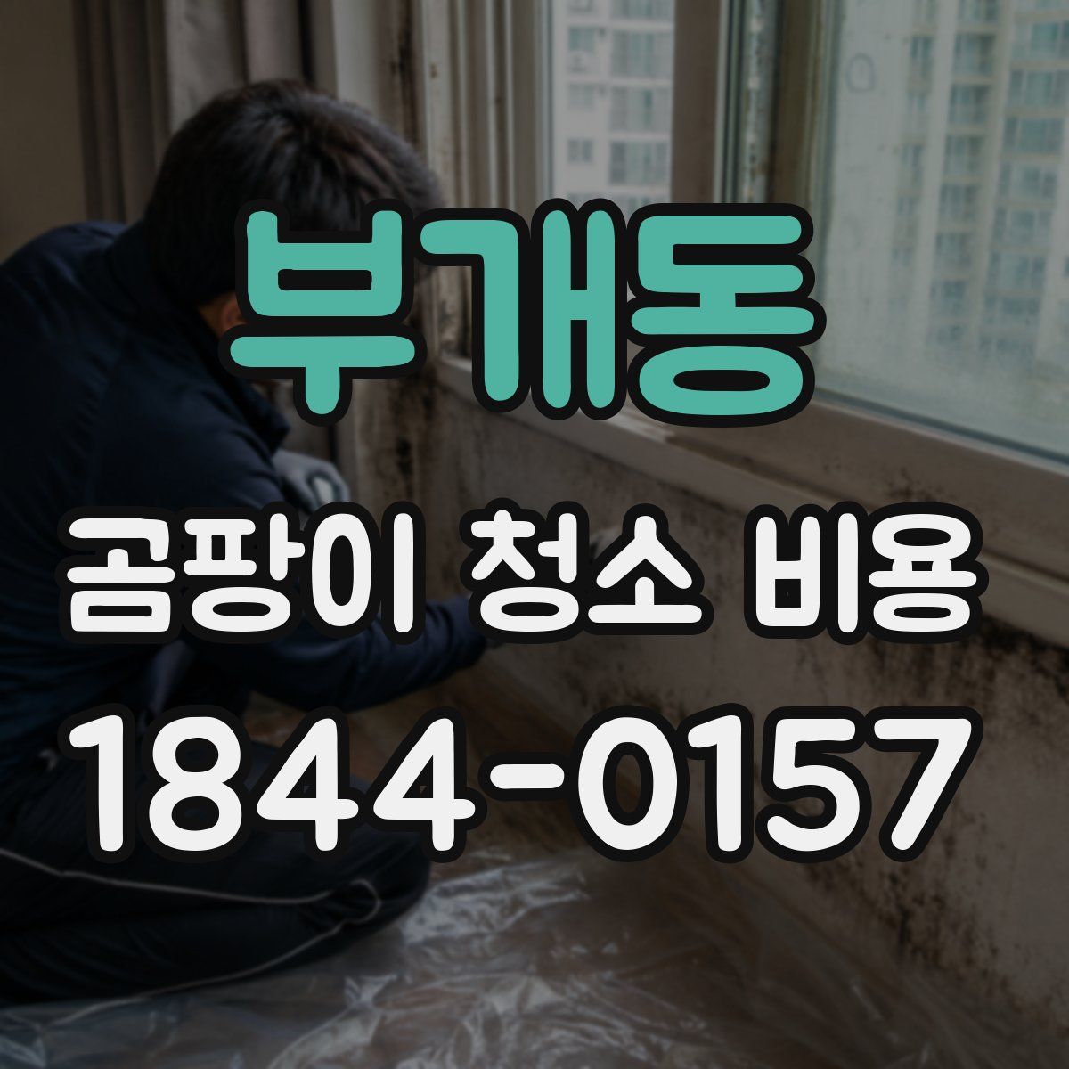 부개동 곰팡이 청소 비용