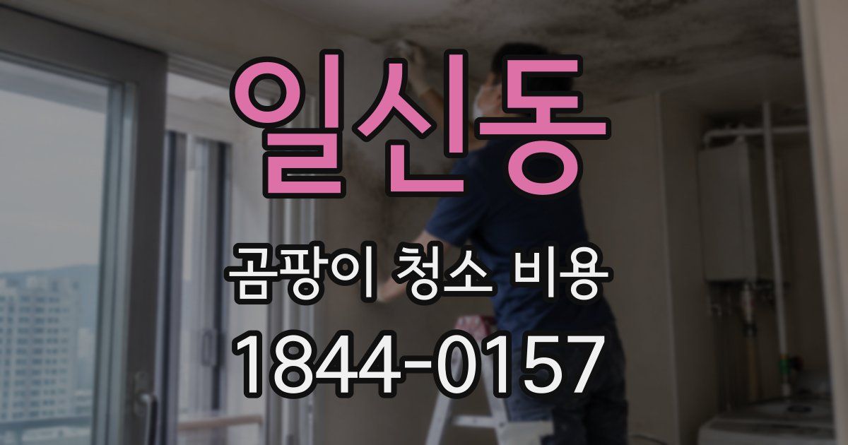 일신동 곰팡이 청소 비용