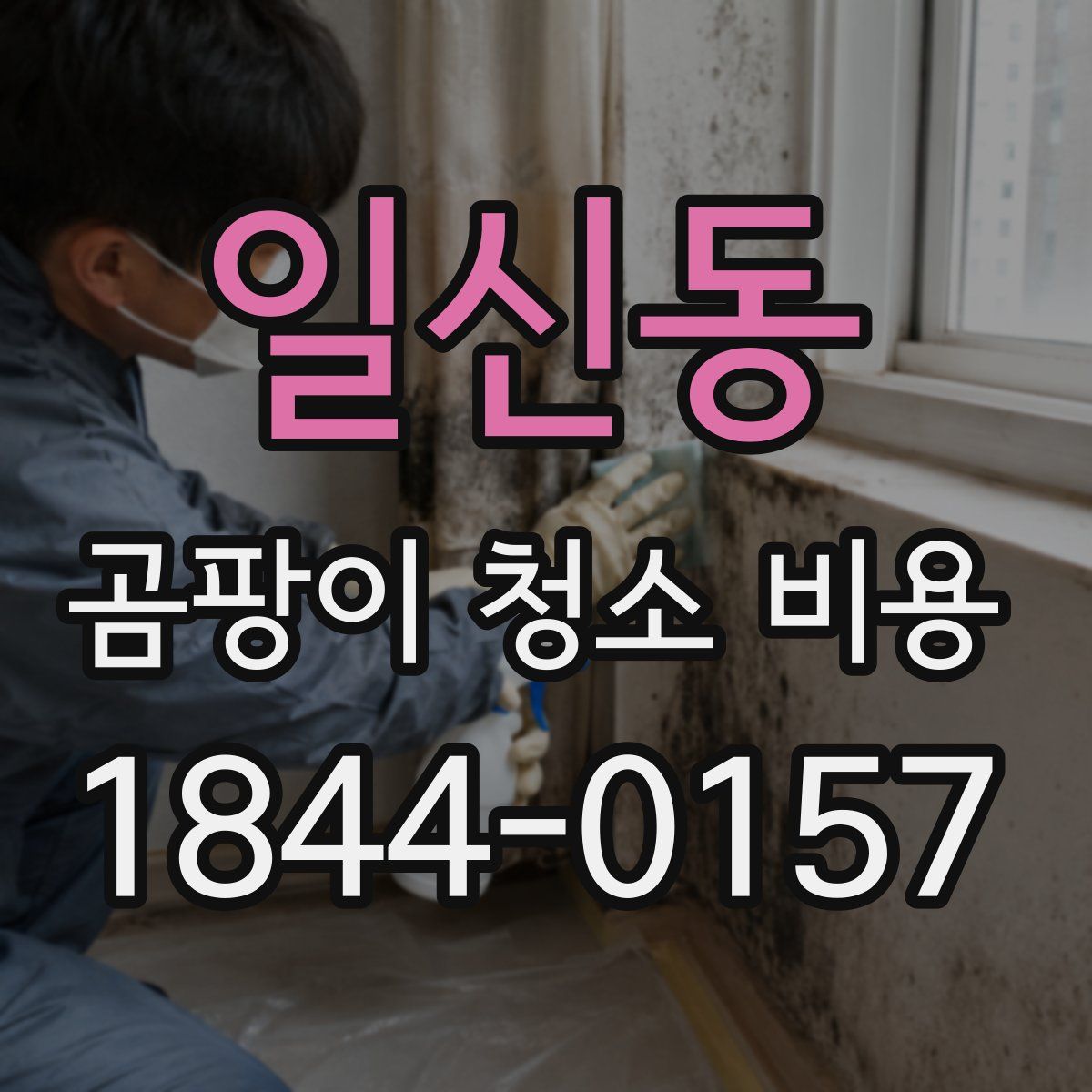 일신동 곰팡이 청소 비용