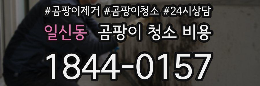 일신동 곰팡이 청소 비용