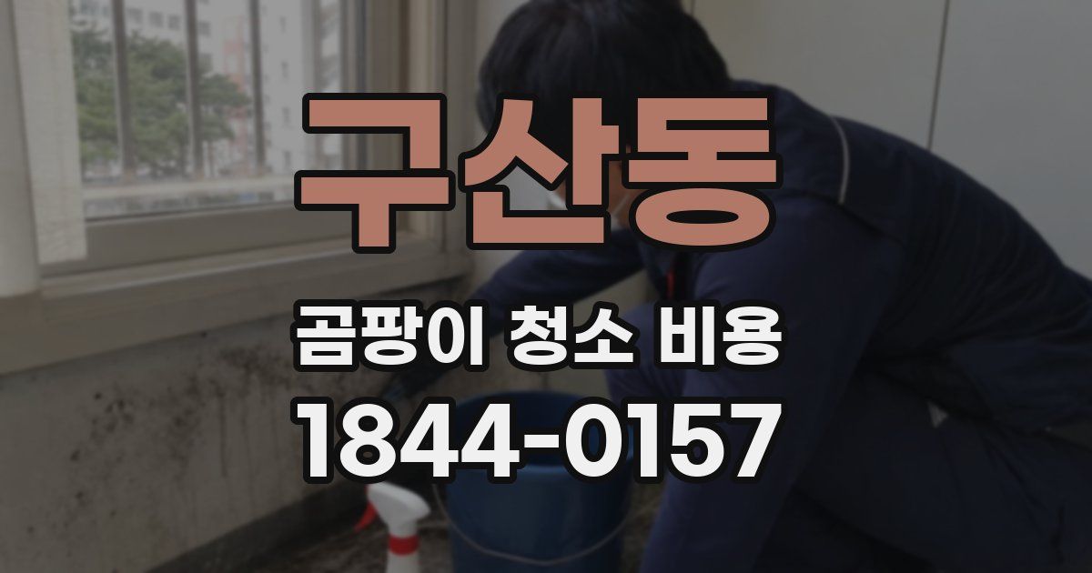 구산동 곰팡이 청소 비용
