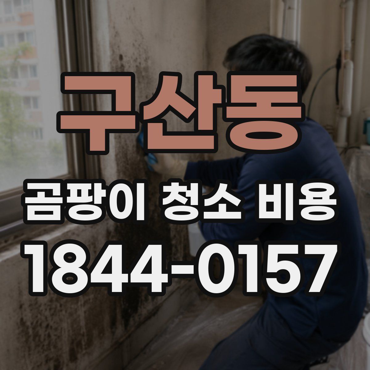 구산동 곰팡이 청소 비용