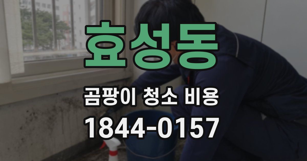 효성동 곰팡이 청소 비용