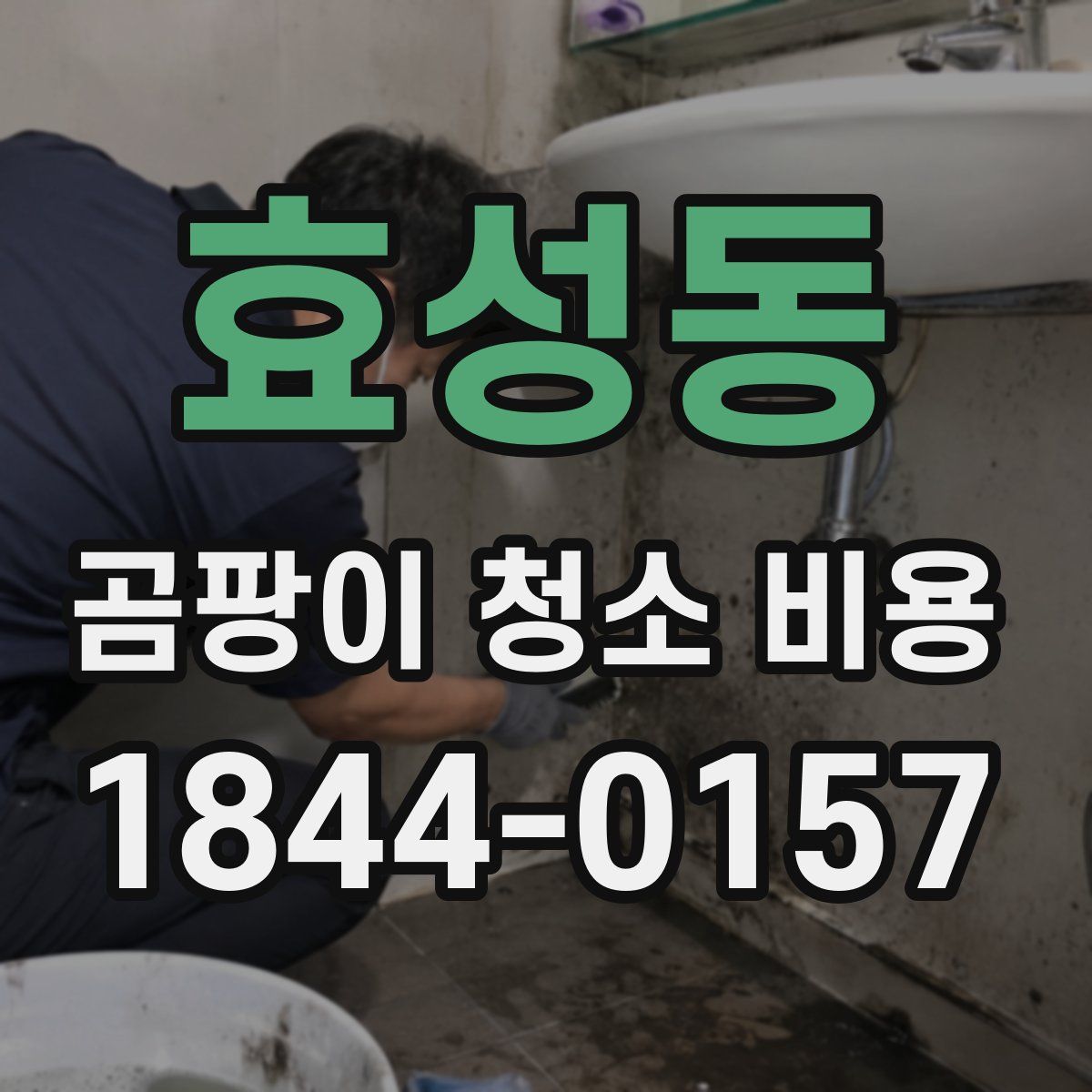 효성동 곰팡이 청소 비용