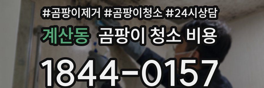 계산동 곰팡이 청소 비용