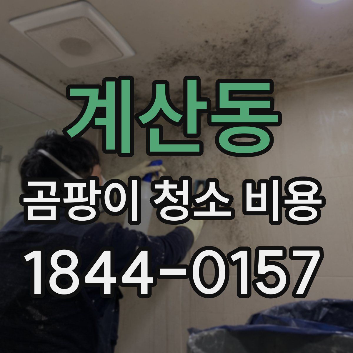 계산동 곰팡이 청소 비용