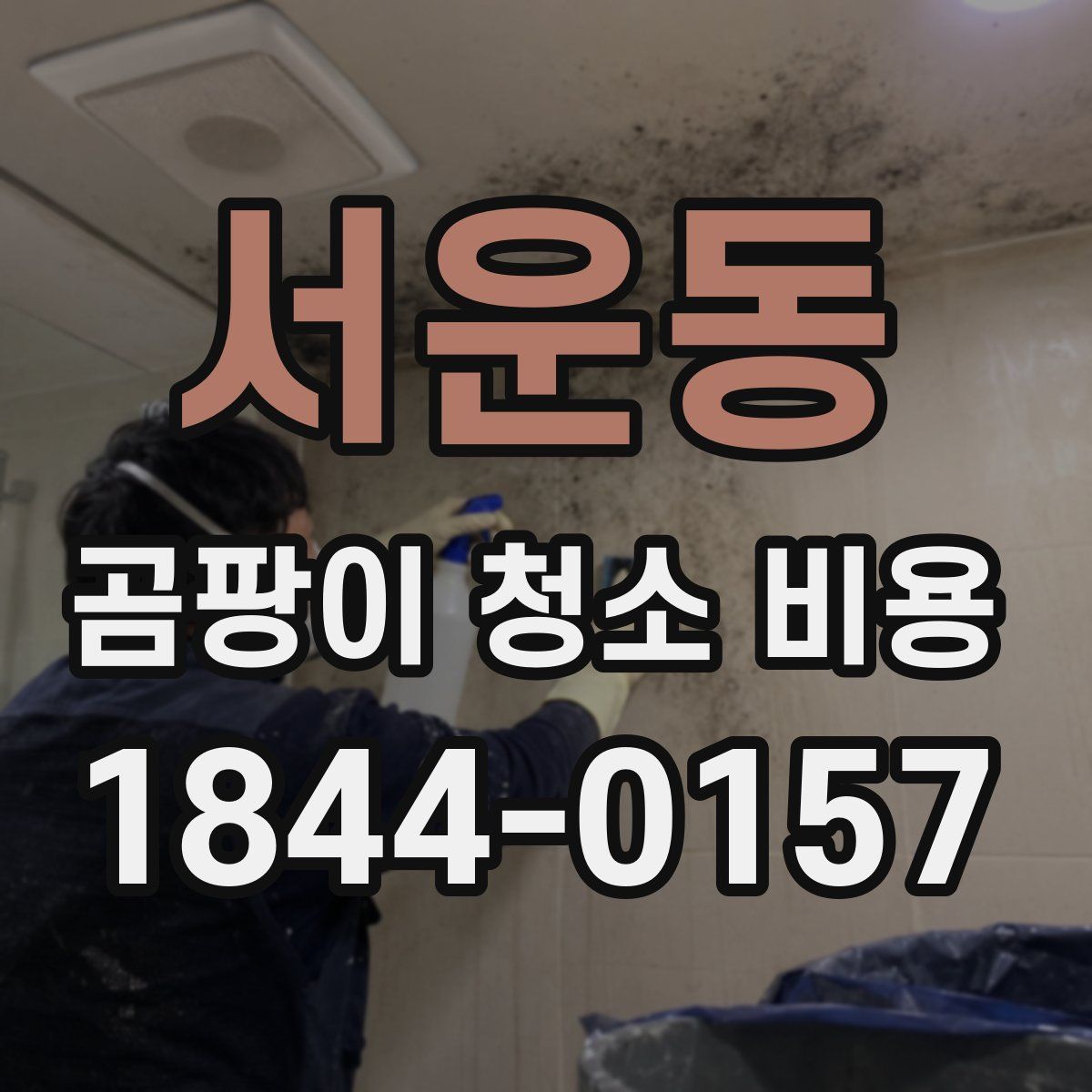 서운동 곰팡이 청소 비용
